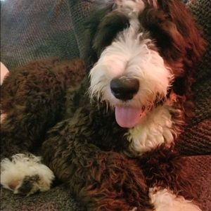 Meet your Posher, Aidan